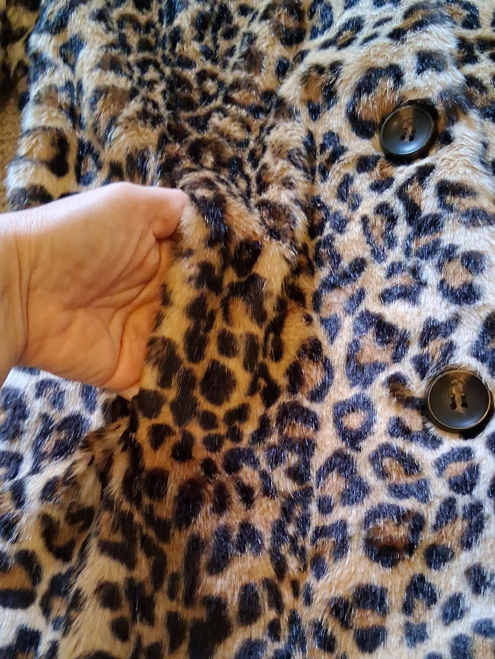 Nikki Jones Leopard Print Teddy Coat with Red Faux Fur Collar - Women's Jacket - Picture 10 of 14